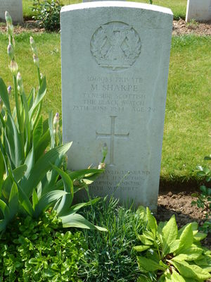 Pte M Sharpe's CWGC headstone.