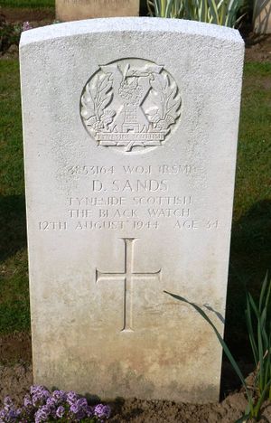 RSM D Sands' CWGC headstone.