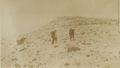 Thumbnail for version as of 15:44, 15 July 2026